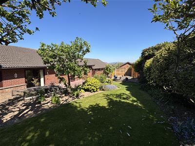 Picture 25